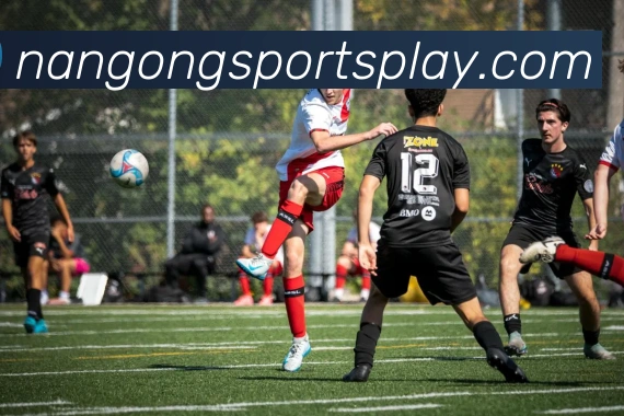 南宫体育APP 封面图